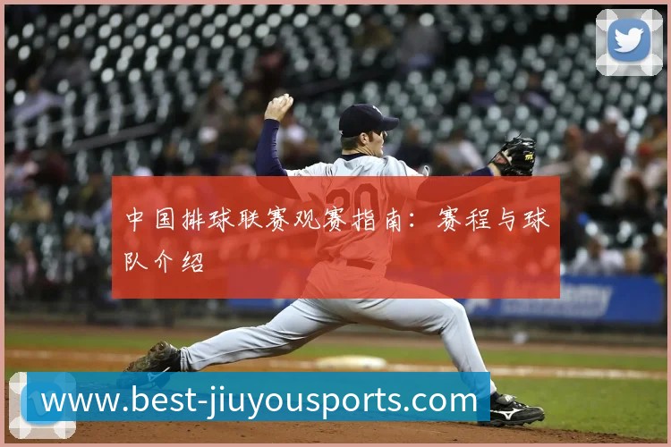中国排球联赛观赛指南：赛程与球队介绍